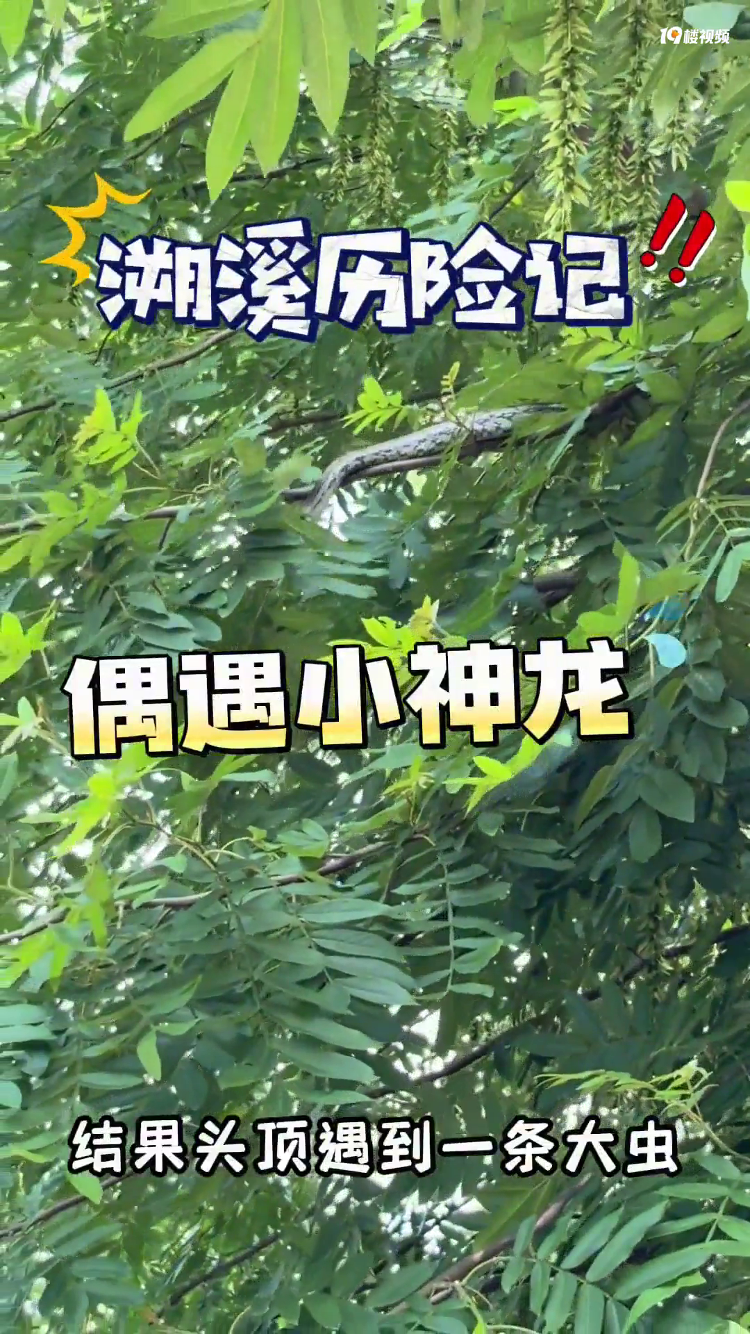 ���˽�����ĺö��߰�����������ȥ��Ϫ��ˣ������������ߣ�