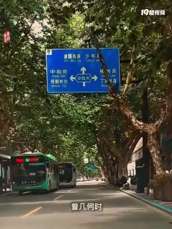 ���ڽ�����ڼ�·�ϣ��������㻹�ǵ���������������