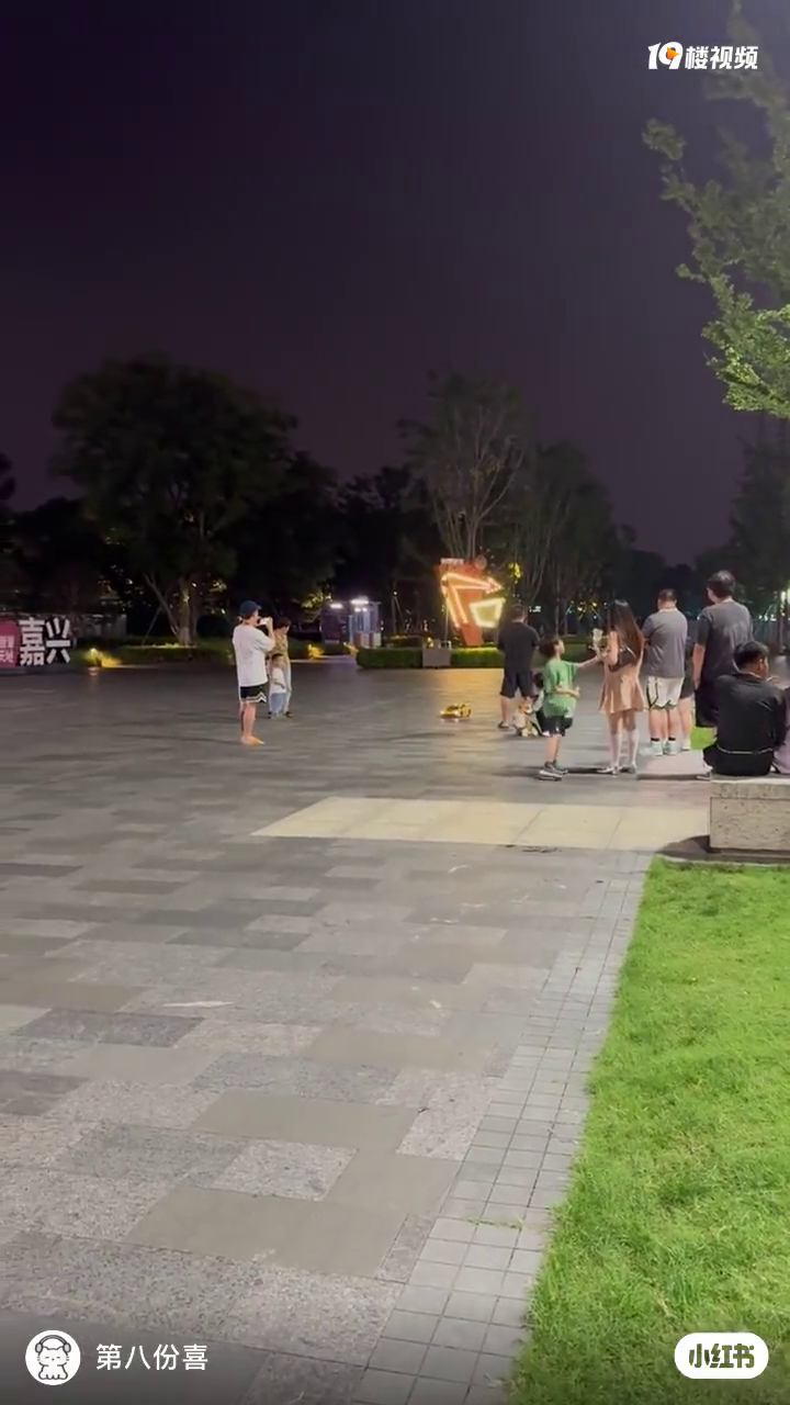 �Ϻ��������������С�����ٶȳ��� ��ƨ�ɶ���ײ���ˣ���