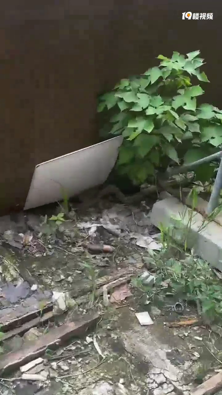 ̫�����ˣ������˲Ź�Ԣ���淢��һ�����ߣ�