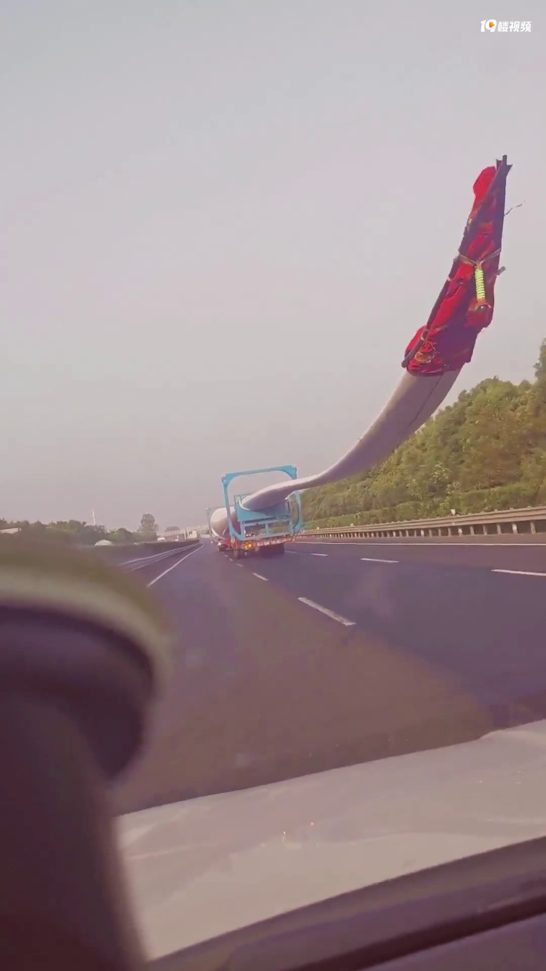 �����ϵľ���־���ӸУ�����֪������ɶ��