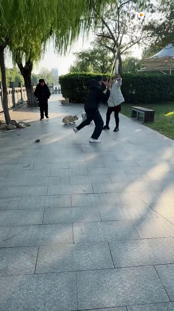 鲨԰ﲻ޹𣿽һүŭİ̡