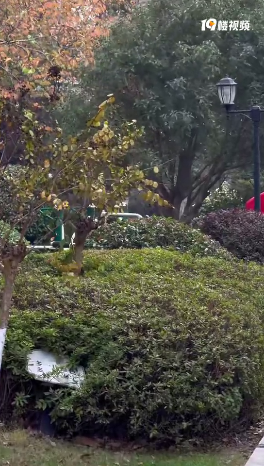 С����Զ������������˵ġ�