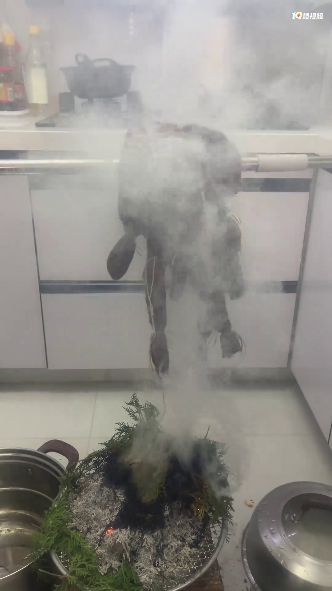 �����ʿ���������������Լ�����Ѭ����