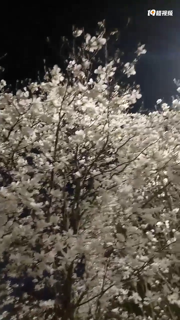 ����ǰ�̳��ű߾���һƳ