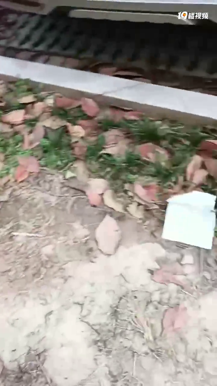 �����ˣ���С���ﶫ���Ҷ������ϵ�����������������û�˹ܣ�