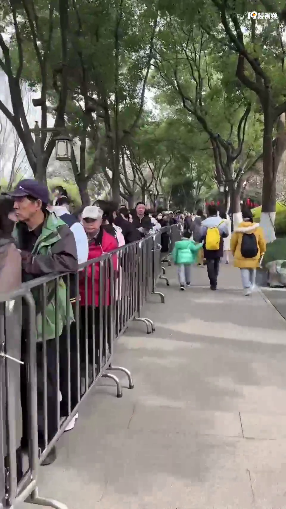 �Ϻ������˱������۾���˵���⴬�Ƿ���������