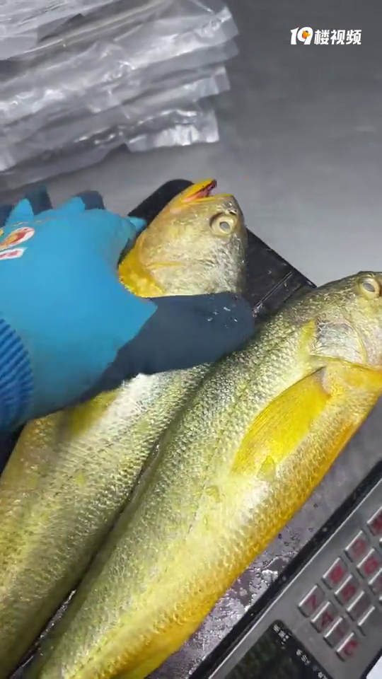 Ϊɶ�˳��ƺ��ʶ������Ĵ���  �ǲ���Ӧ������أ�