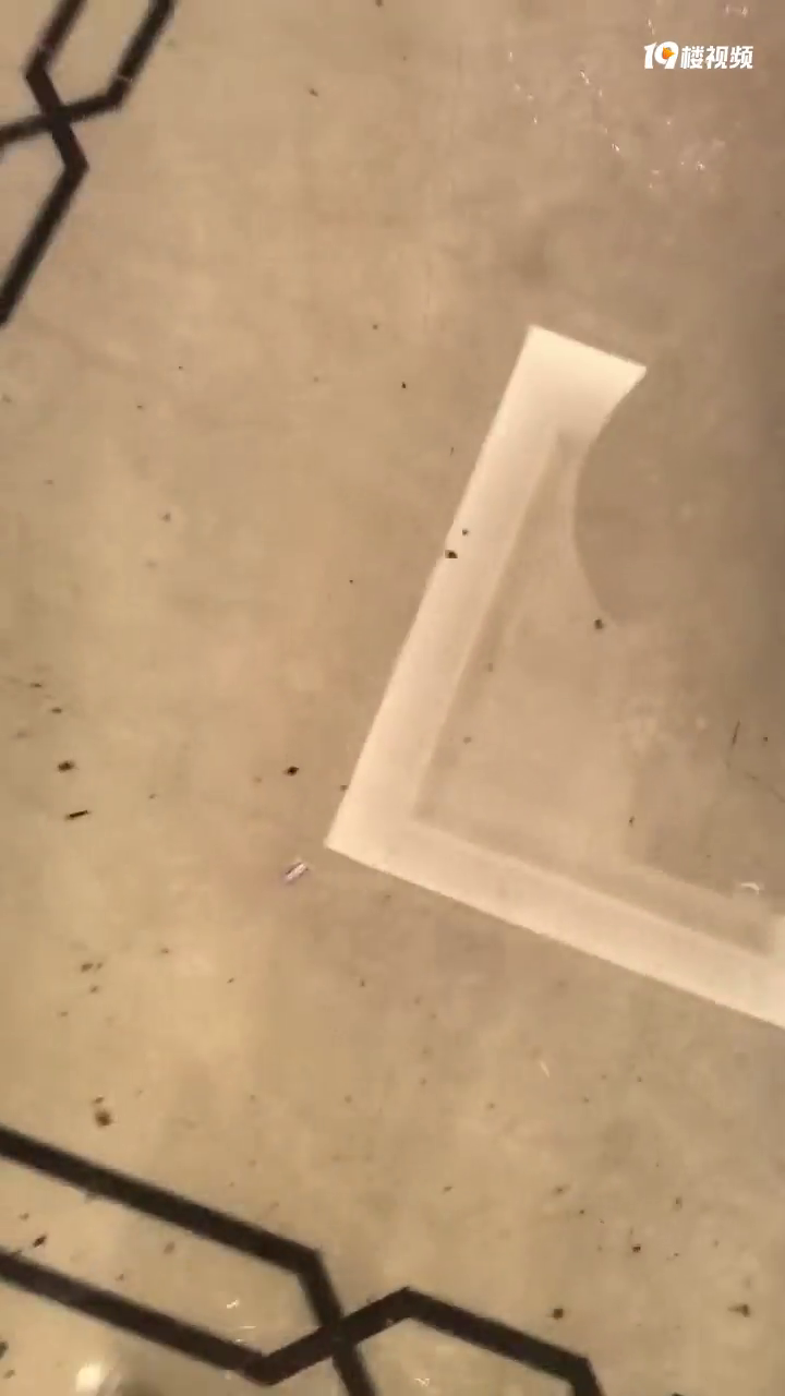 ̨�����ù㳡С����ˮ�����ذ�