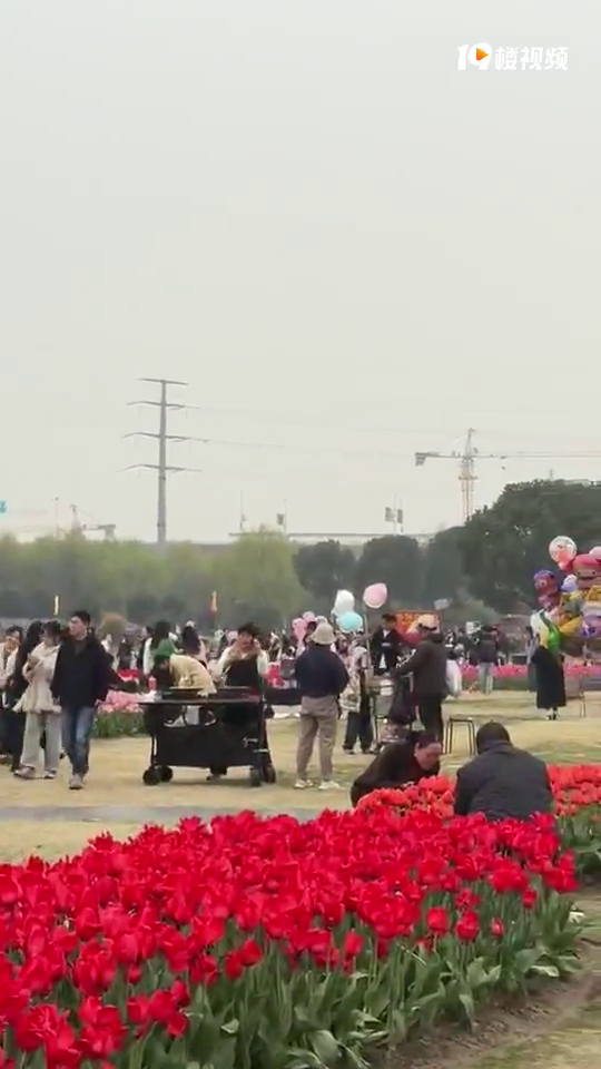 Ҧ�ҵ������㻨��̫�����ˣ���������İ����������˺ͳ��Ȼ��࡭