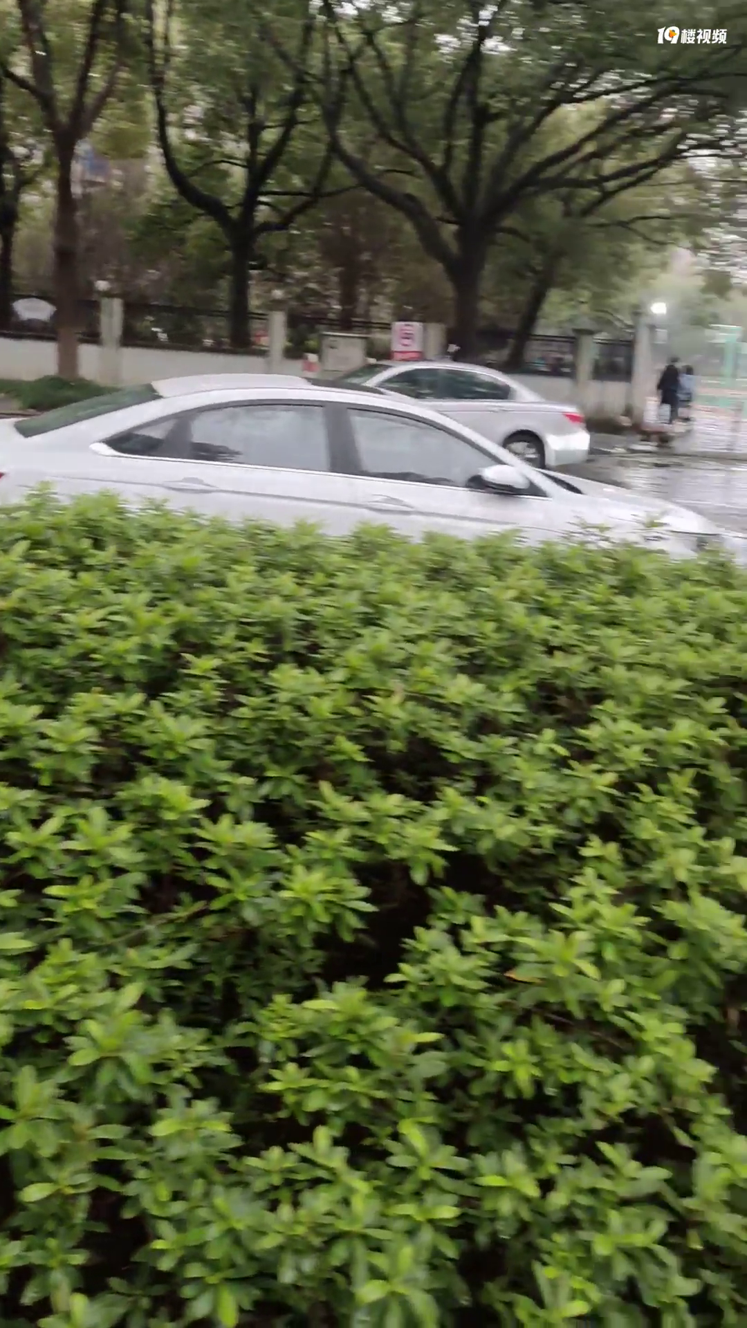 ����������˽�ҳ��ڼθ�У�ſڵ�ͷ���´�³��������˰����ǣ�