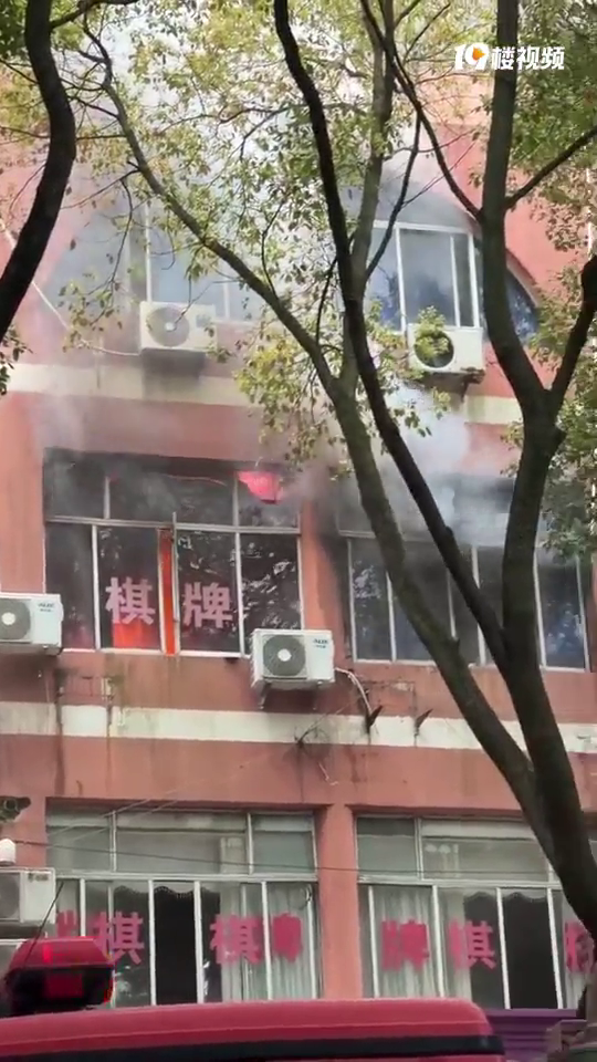 �ֶ�·���������Ż��ˡ�