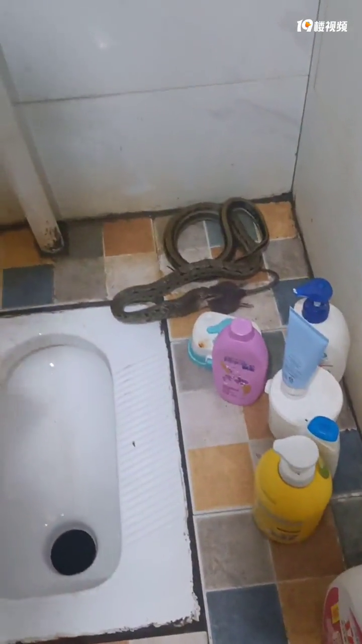 �ƿ����������������ˣ�һ�������ڳ����󣡻�û����ȥ��