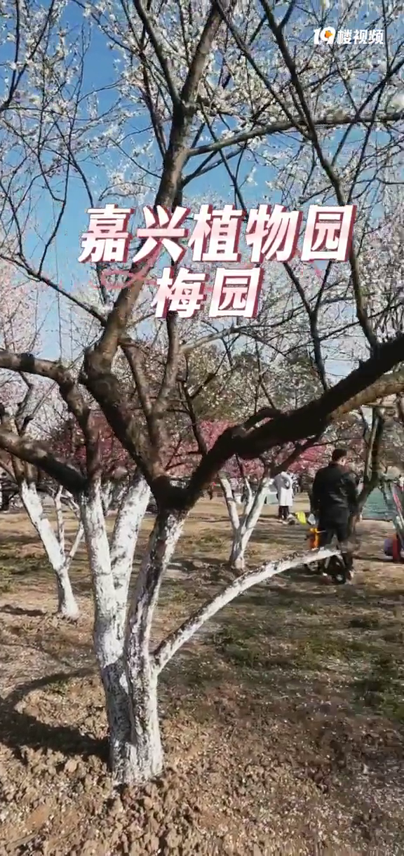 ��Ͷ��2740�򣡼���ֲ��԰Ҫ�����ˣ����������ȥ�Ƕ����డ��