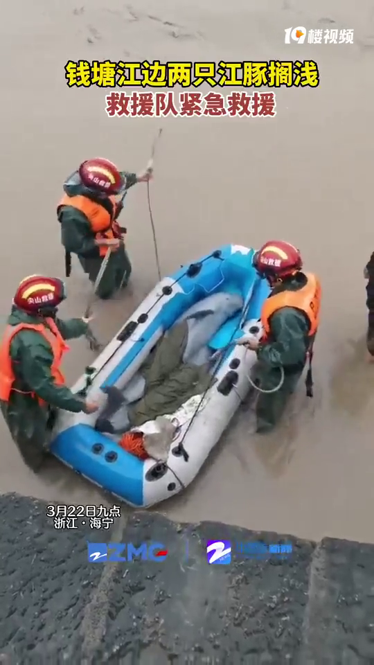 �����ಿ�Ž�����Ԯ����ͷ��ǳ�����ѻ�ȣ�