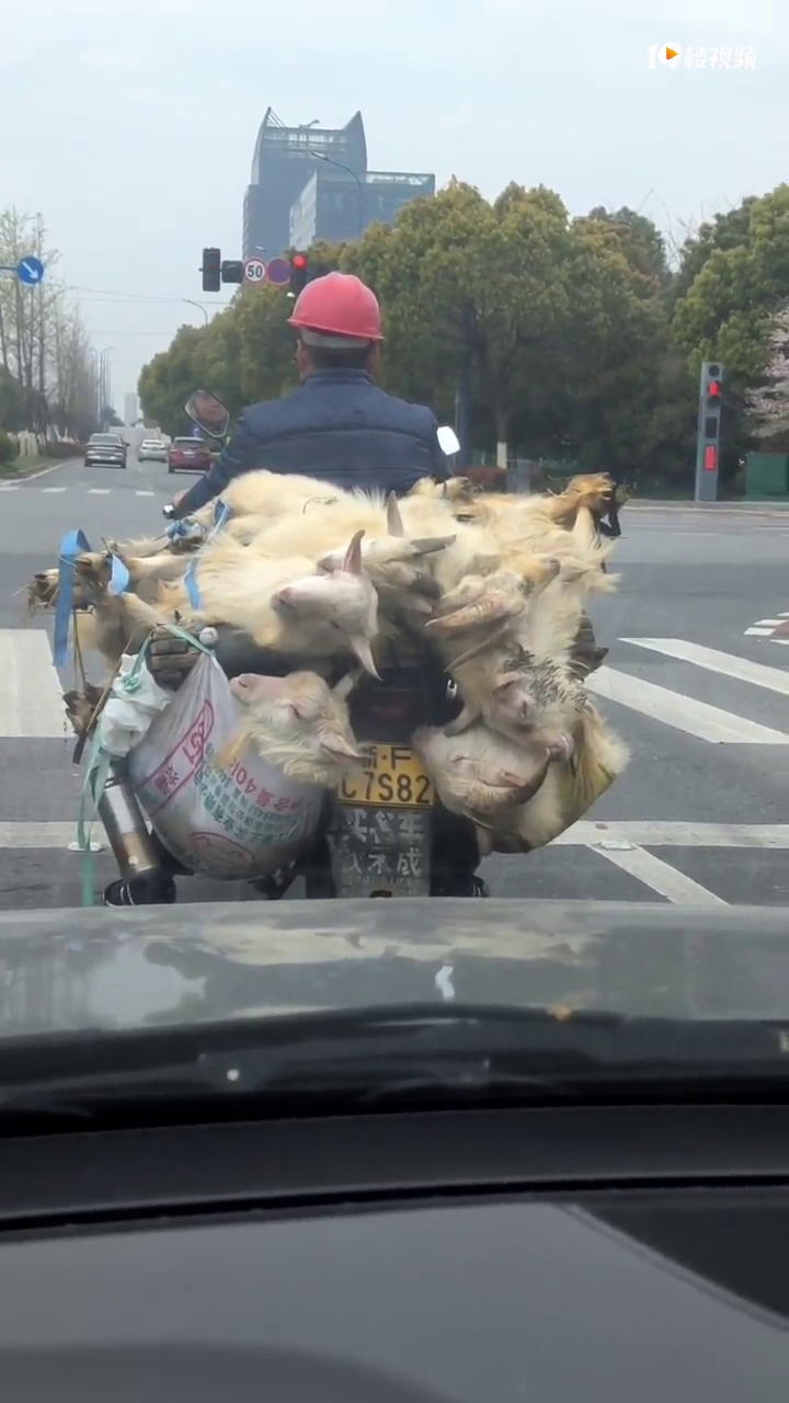 ���˽�ͷż����ʵ�桰���˸��򡱣������м�ֻ��