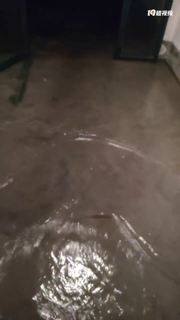 ���궥��ס����©ˮ��������С��Ҳ��ˮ�����ˡ�