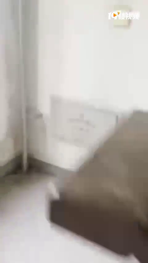 ����6��뿪ʼ���⣡�����ϰ���������Ƿ��ˣ�