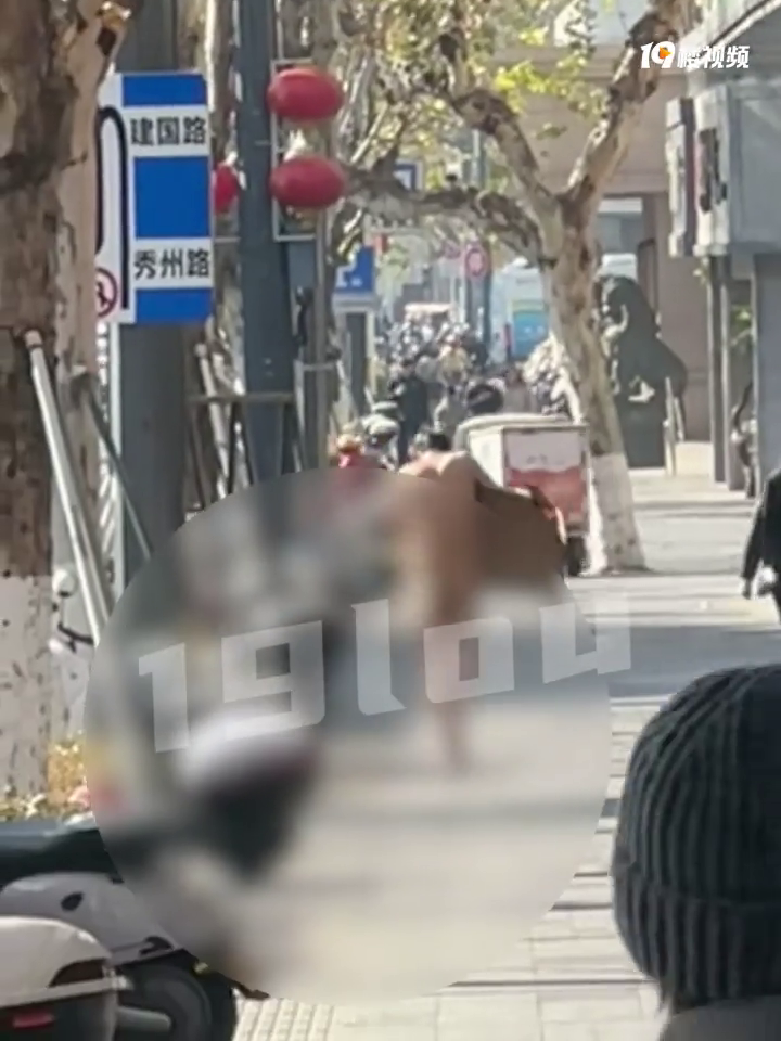 ��������죬�����·��ڽ����߲����𣿣������ĵ��㱼�С�