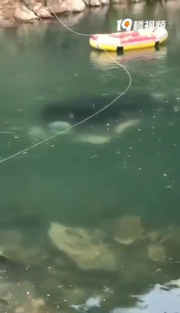 ������Ϫ��ԽҰ����ʻ��������Ѵ�ҿ���Ҫ��ȫ����