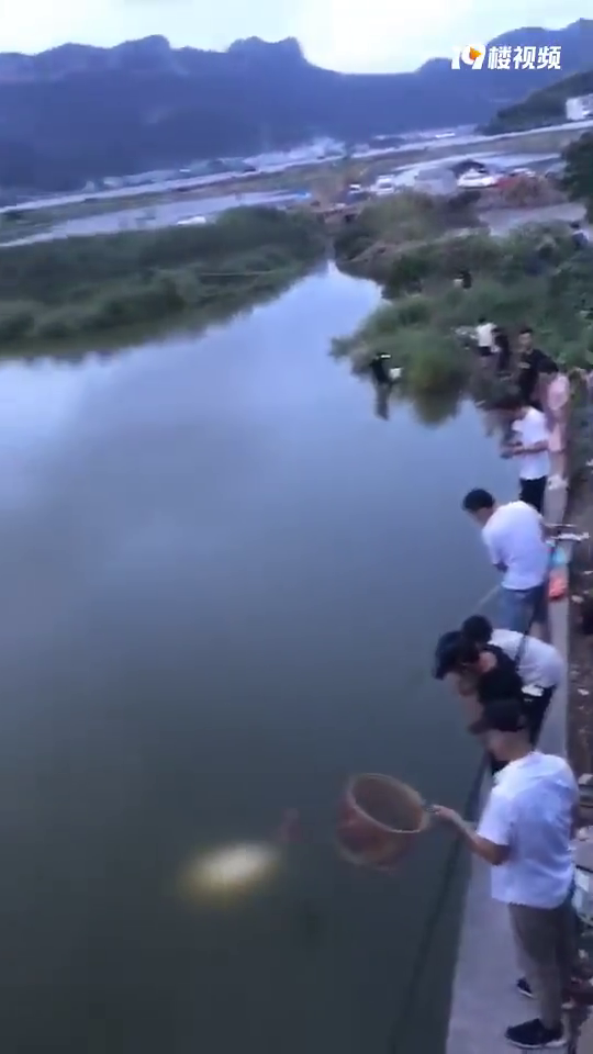 �컹û��ץ�з�Ĵ���Ѿ���·��վ����