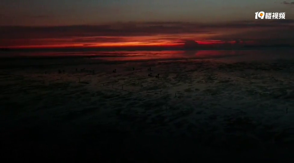 ���ߵ��ճ�