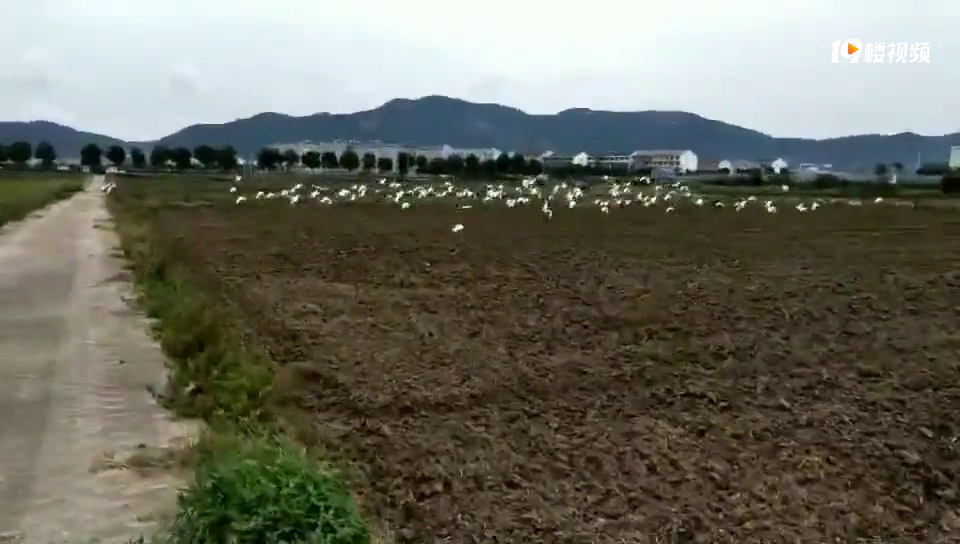 �о������ҽ����ĵ���õ�һ��