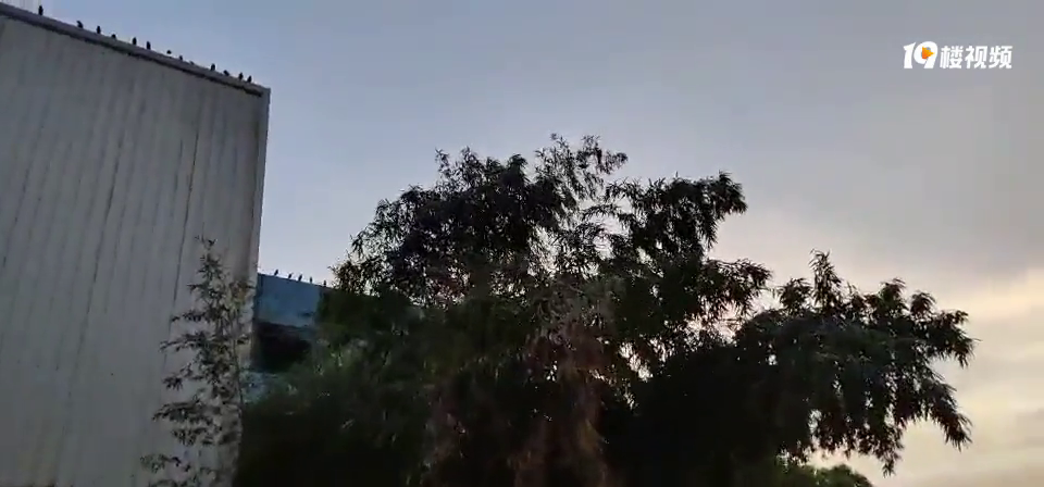 ֧������������ӣ�׽����