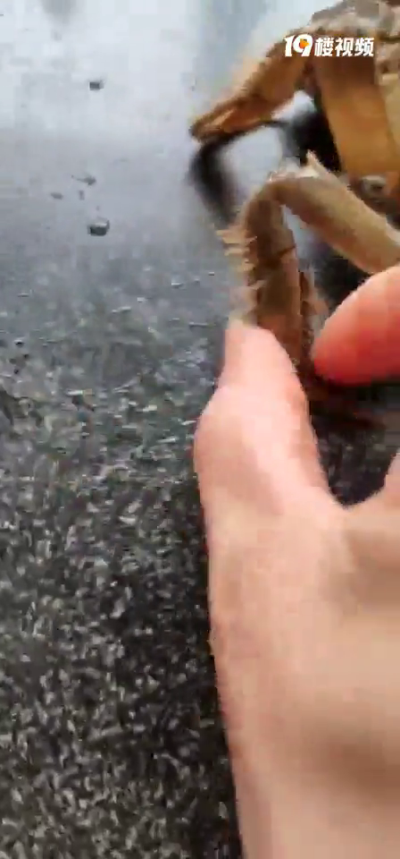 ԭ����з�ͱڻ�һ����з�ȵ��˾�Ȼ�����ٳ�