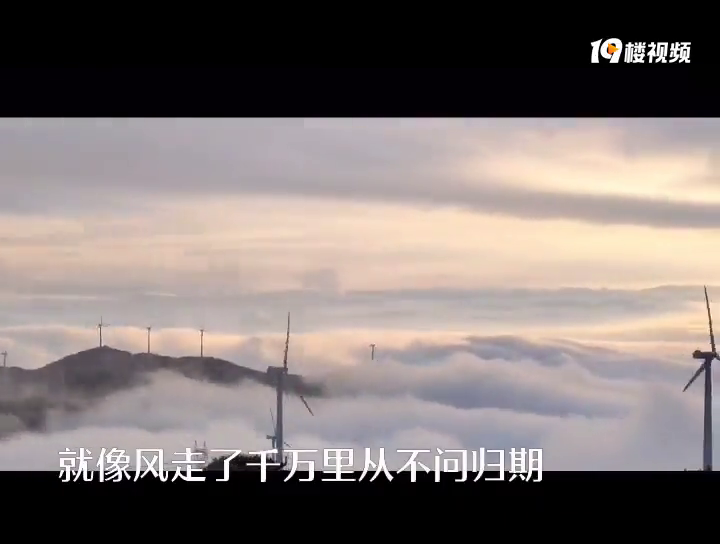 ��Ѫ����ֱ������ɽ��������ƺ�������