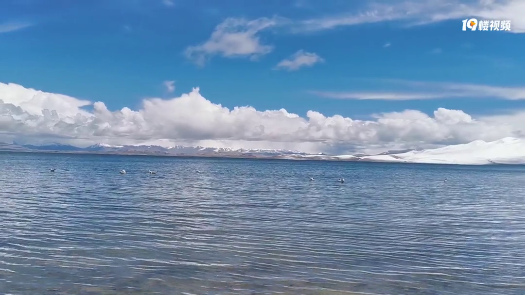 ��һ�εĴ��������������Ҫ��������