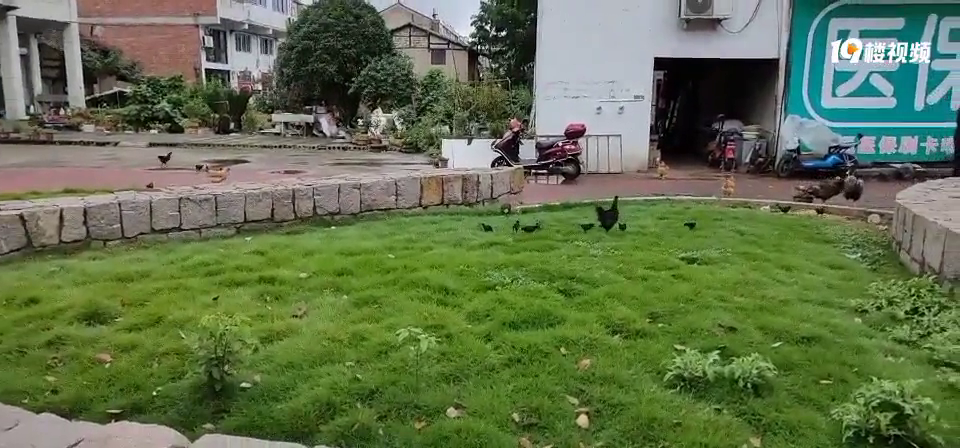 ���𣿷������ų���