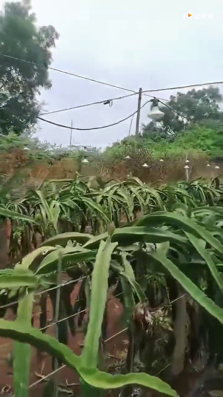 ������������ĵ��ݸ�ɶ�ã�