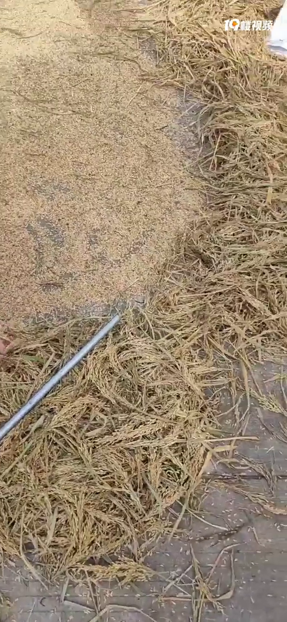 ���˵����õ��ȣ���ȥ���׳�