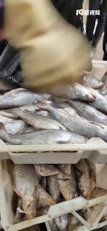 ��������Ǯһ�������һ��