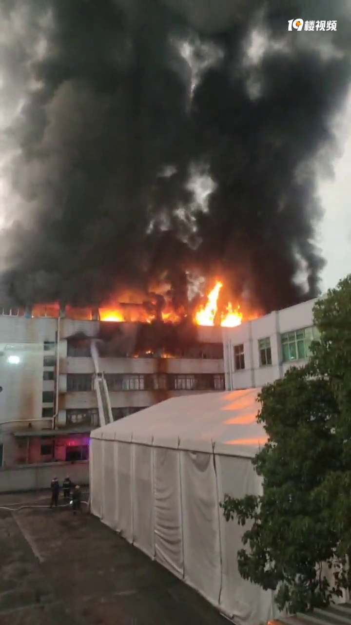 ���������Ż���