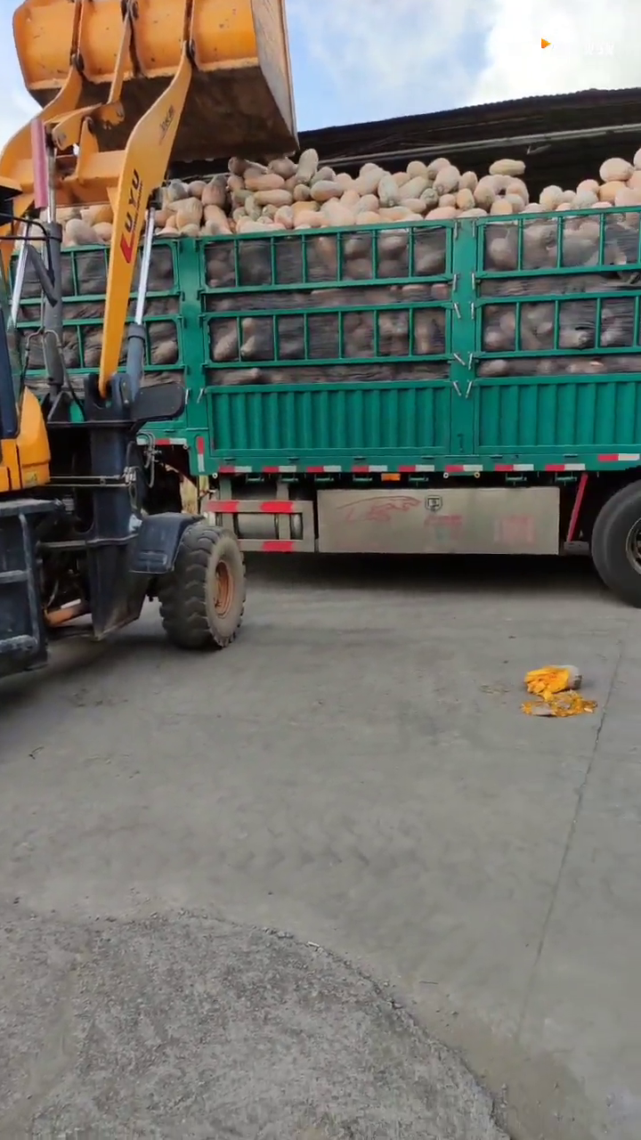 ����������ڵ��Ӷ࣬���������ĵ�������ש