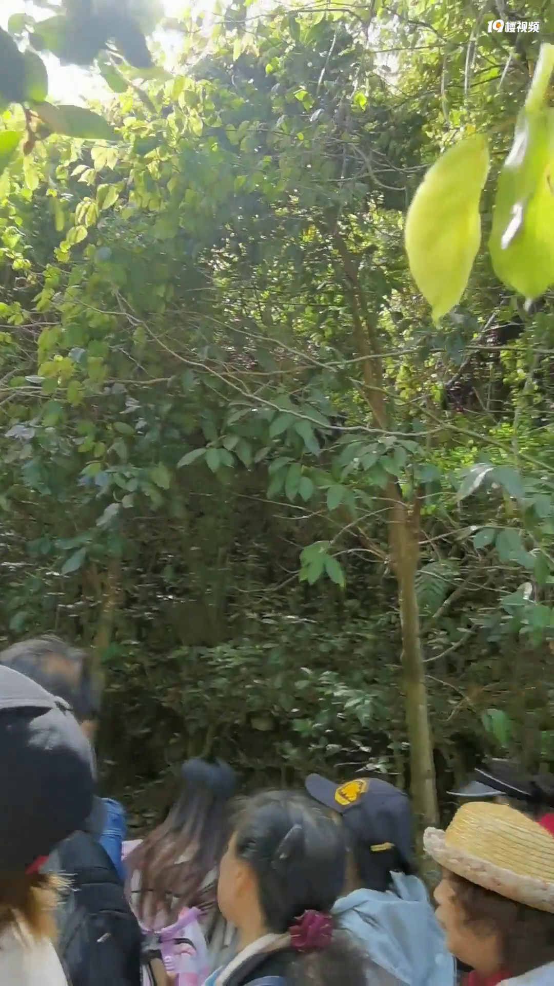 �����������ɾӵ�������̫����ˣ�