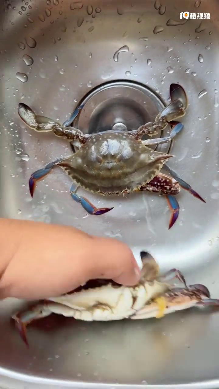 δ���Ĺ���з��С����з������з���ʷ���