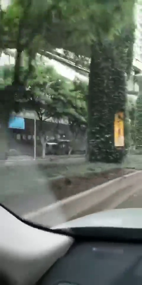 志愿者昨天清淤的路段,今天畅通了