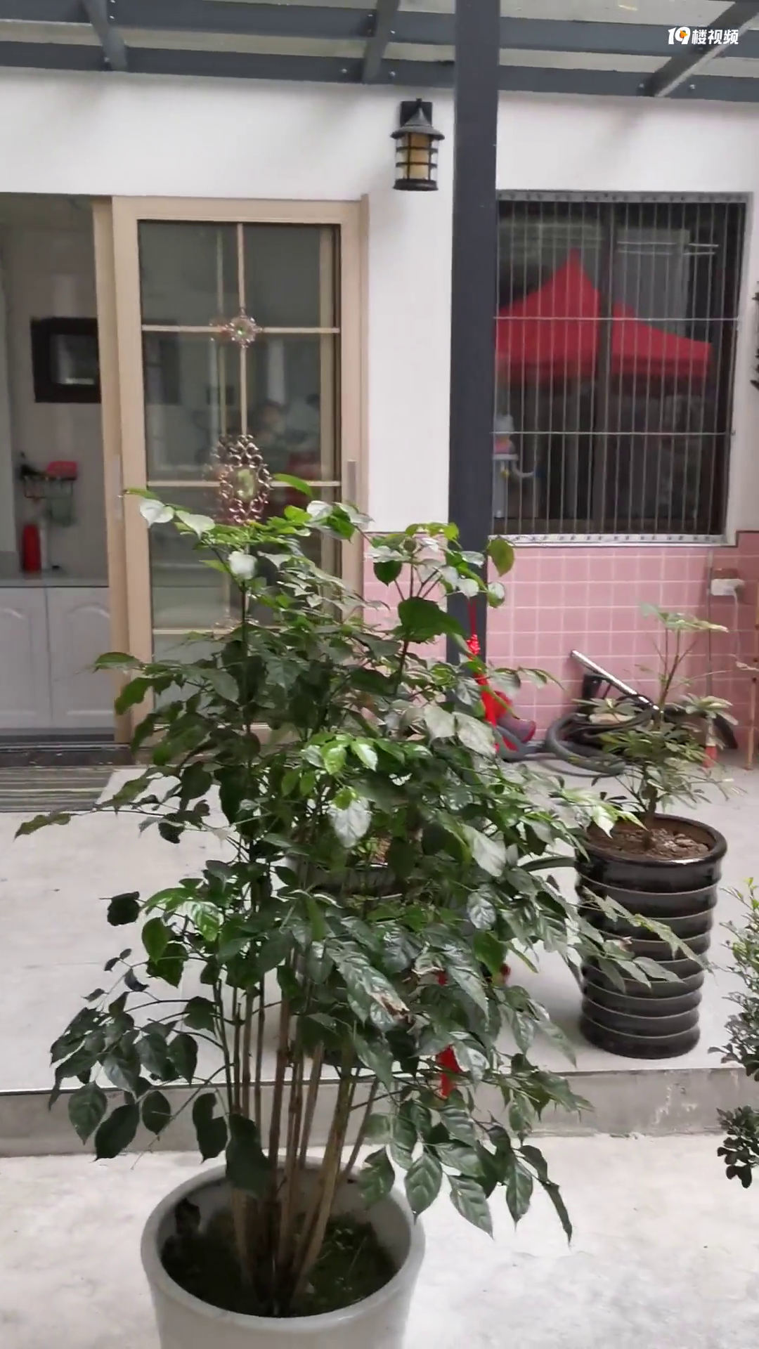遇到邻居违章搭建平台,沟通无果
