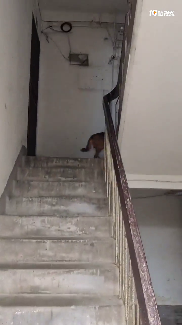 �ھ���¥��������ô��?ûǣ��Ҳû���� �һ��ȵ�����ʺ��