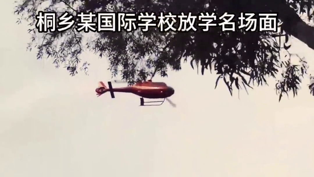 ͩ��ĳ����ѧУ�мҳ���ֱ�������ͣ�·����һɫ��ķ����ֵ���ƣ�