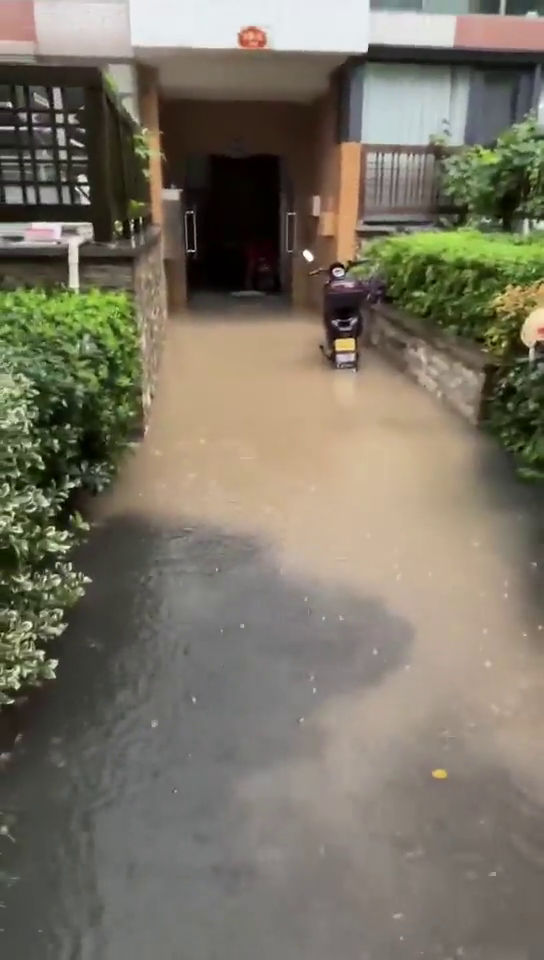 ��̬���ˣ�֪��Ԫһ��ׯ���ͣ�������û�뵽�����ͳ���������