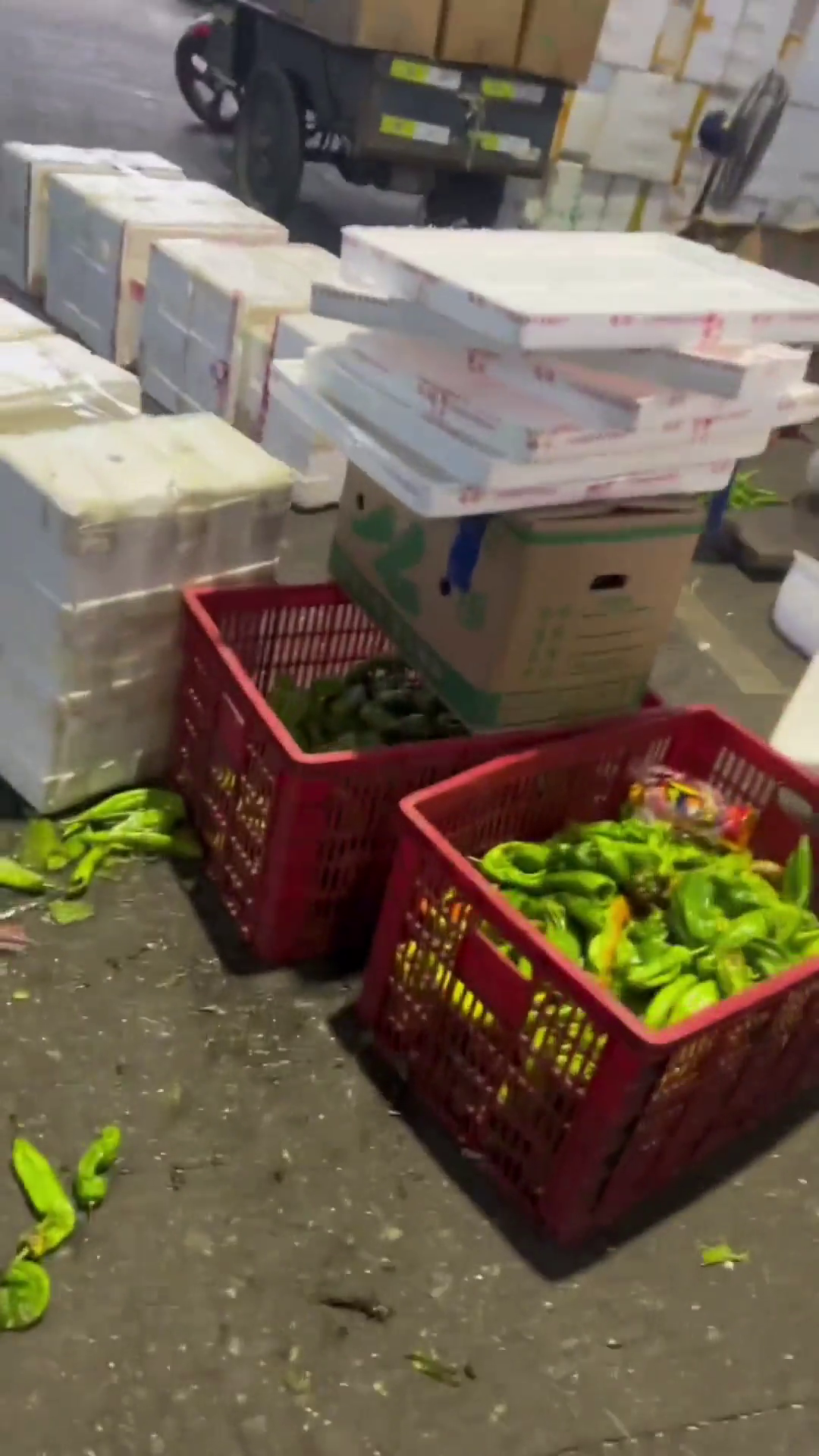 ���ܼ�������ö���ȥ���������г���ˡ�