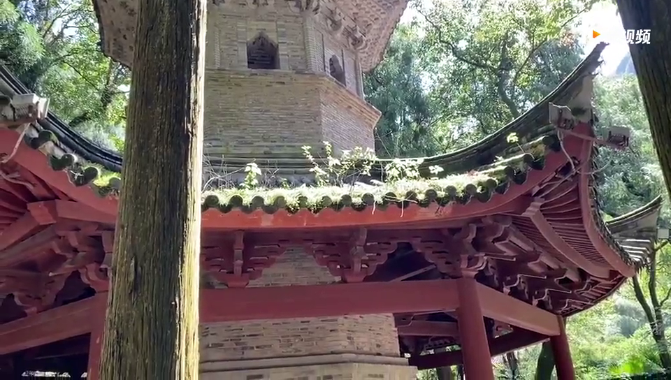 ���棡���Ҿŷ��Ӧ���ϵ�ֲ��ð������