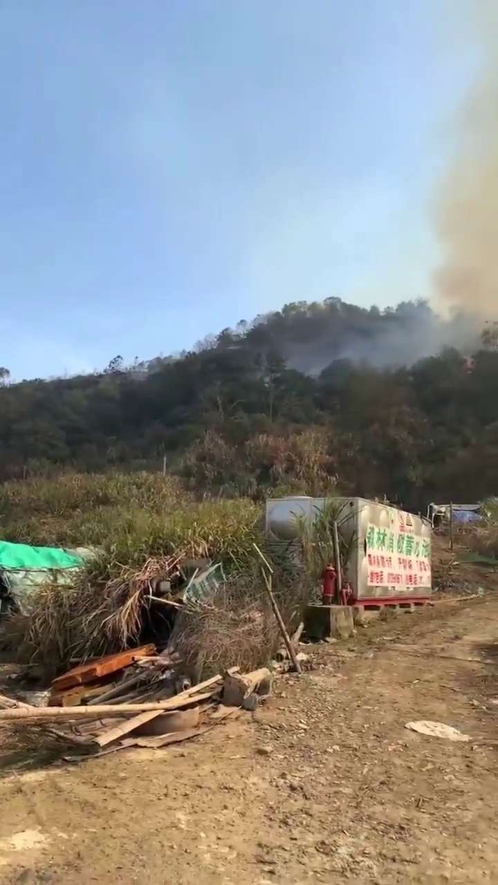 ��˫����ɽ�Ż���