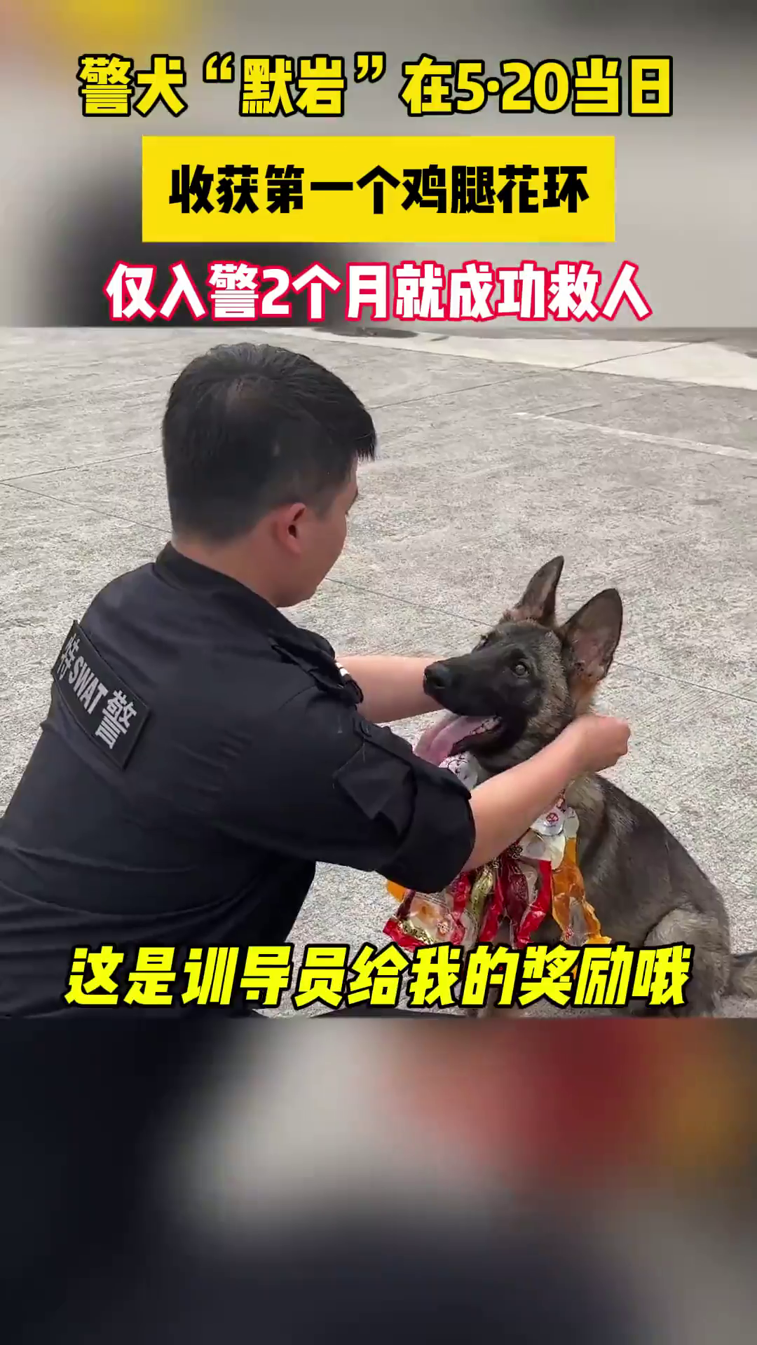 �����ӡ�������������10���侯Ȯ��Ĭ�ҡ��ջ��һ�����Ȼ���