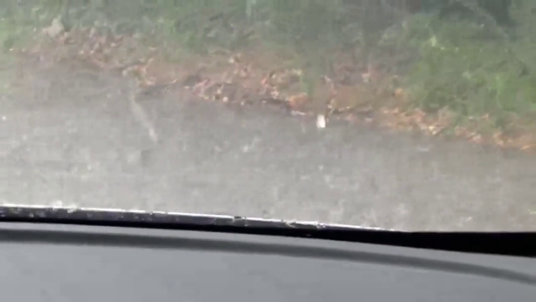 �ٺ��±�����