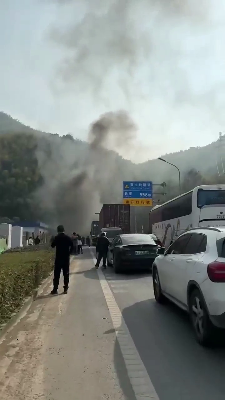 ���������������Ż���